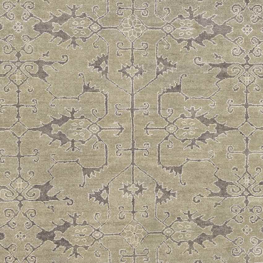 Novato Traditional Beige Area Rug
