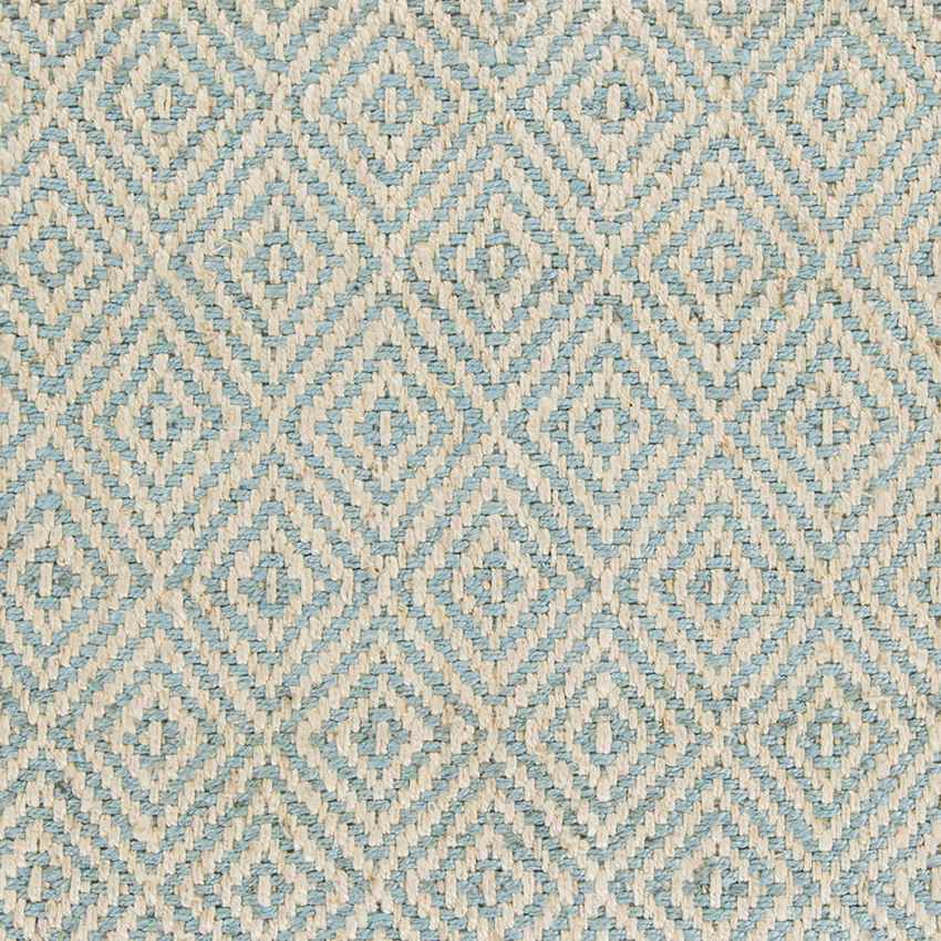 Orson Global Jute/Sisal Aqua/Cream Area Rug
