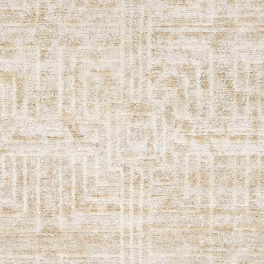 Wyoming Modern Beige Area Rug