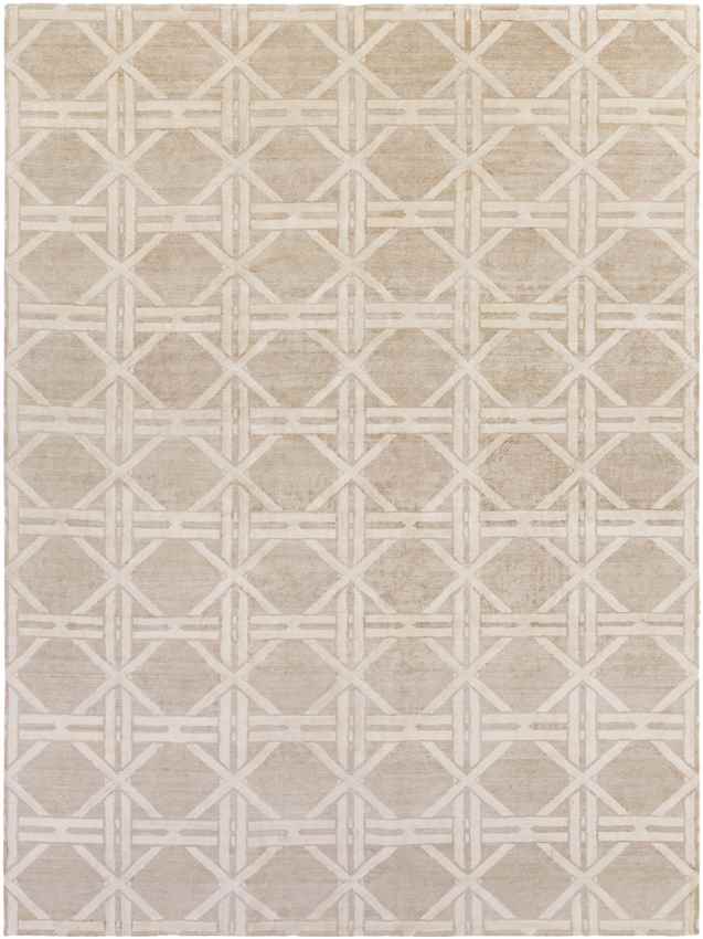 Yampa Modern Beige Area Rug