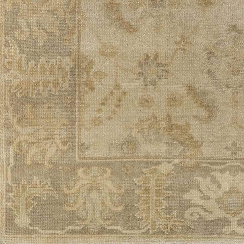 Halesowen Traditional Beige Area Rug