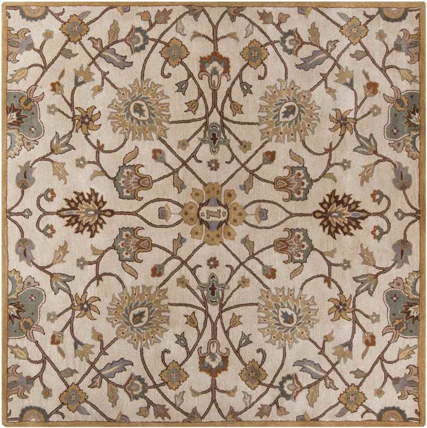 Two Hills Traditional Khaki Area Rug