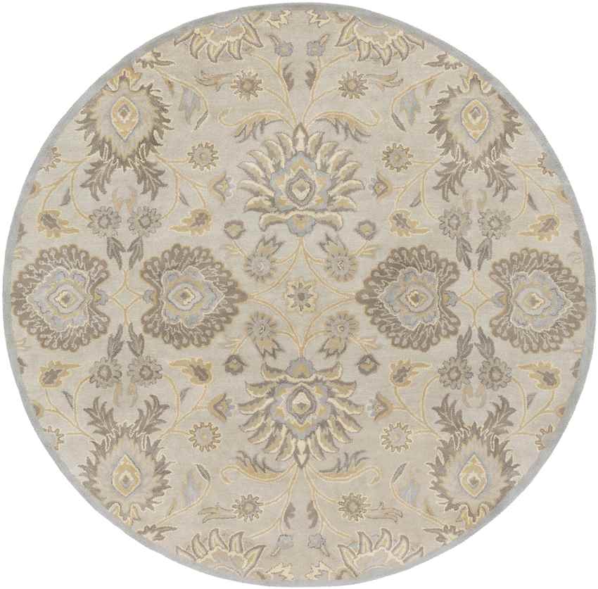 Eckville Traditional Light Gray Area Rug