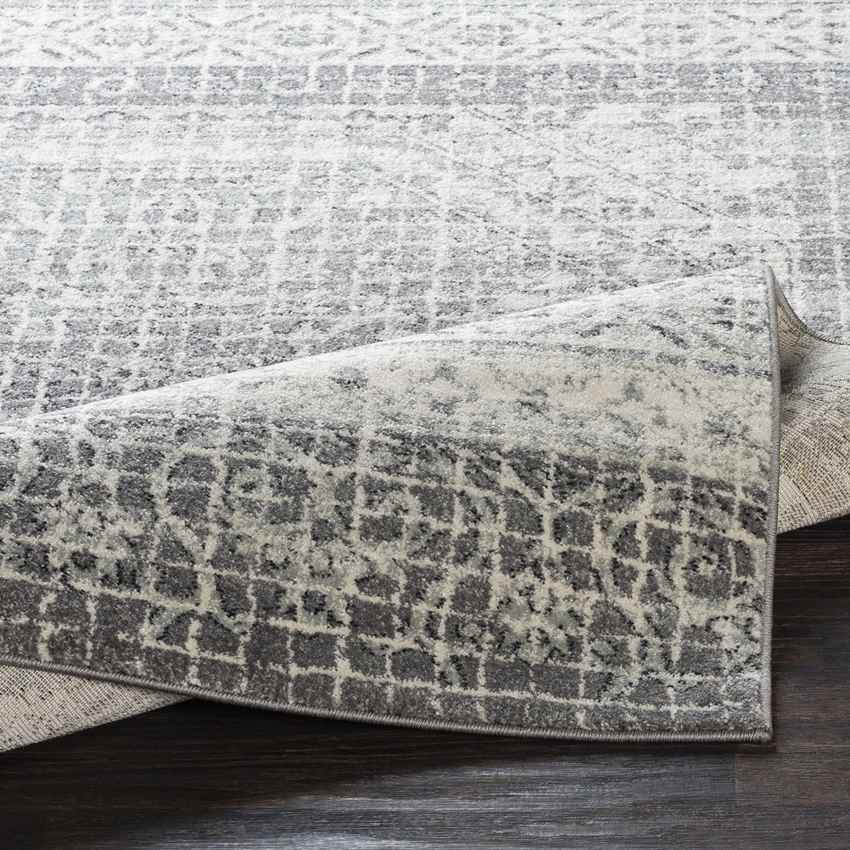 Langweer Traditional Light Gray Area Rug