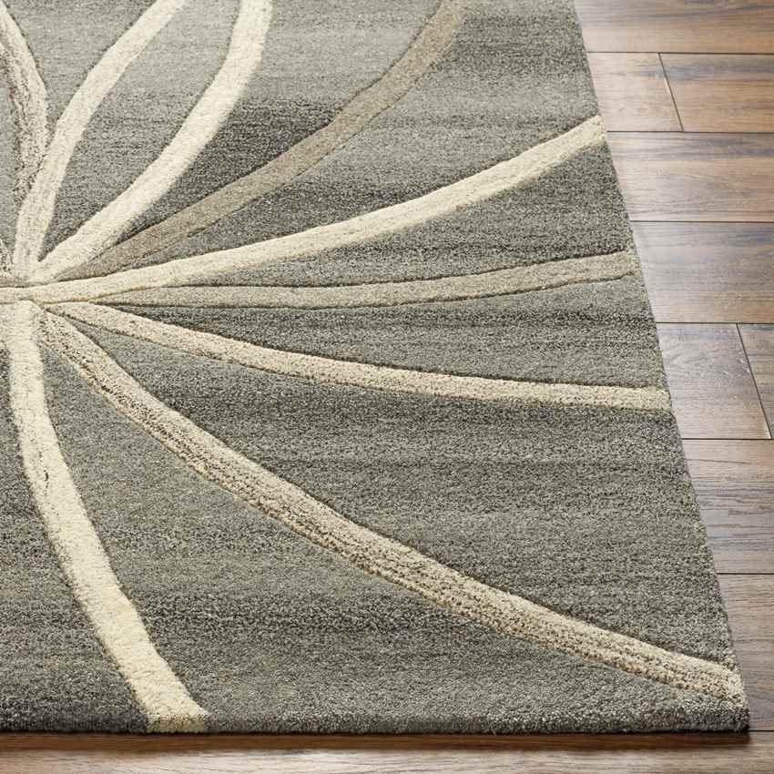 Falher Modern Medium Gray Area Rug