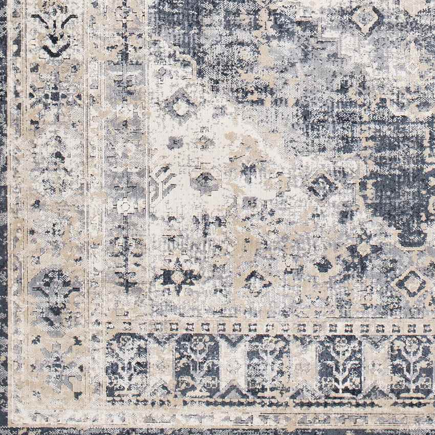 Paesens Traditional Taupe Area Rug