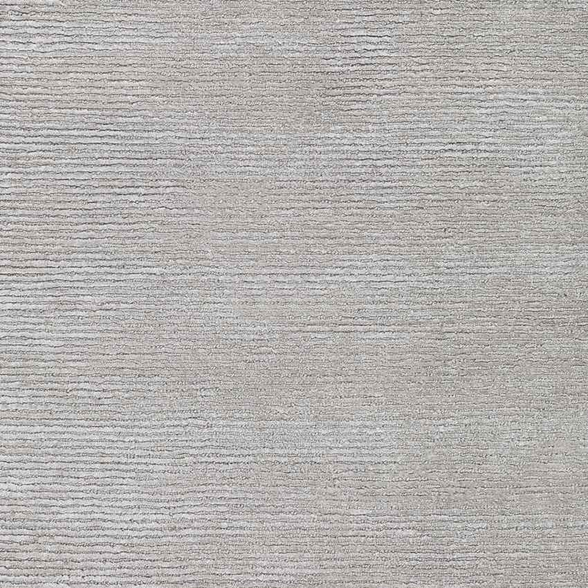 Midhurst Modern Light Gray Area Rug