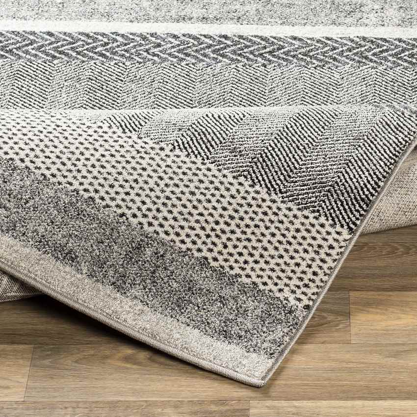 Bloemberg Modern Gray Area Rug