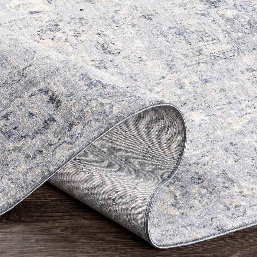 Zuidplas Traditional Medium Gray Area Rug