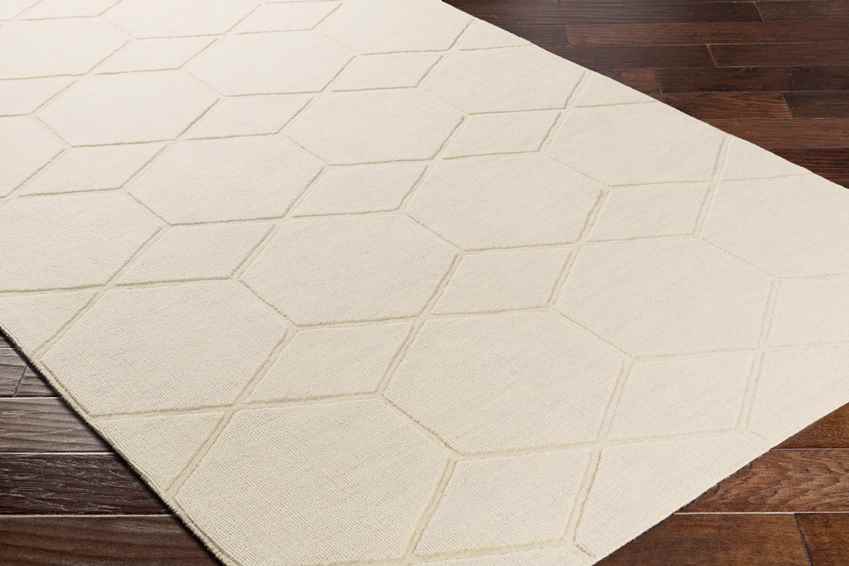 Onnen Modern Ivory Area Rug
