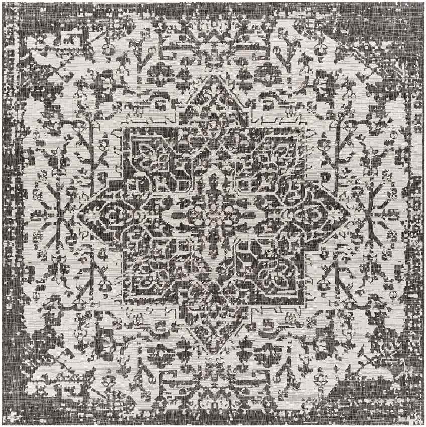 Appelscha Traditional Black Area Rug