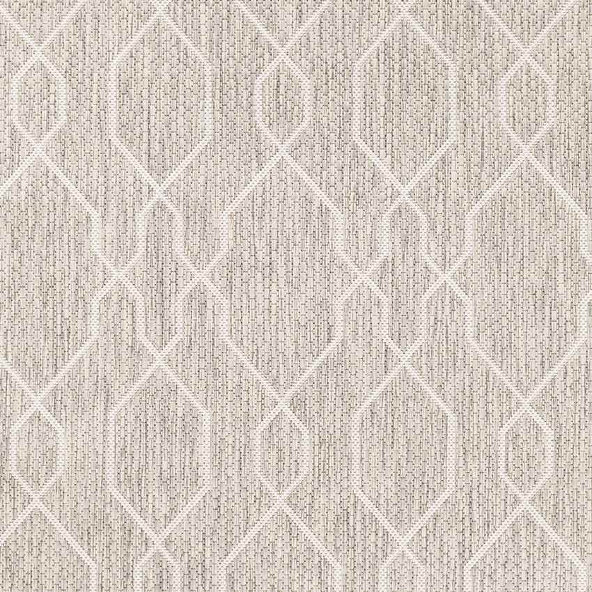 Valentijn Traditional Beige Area Rug