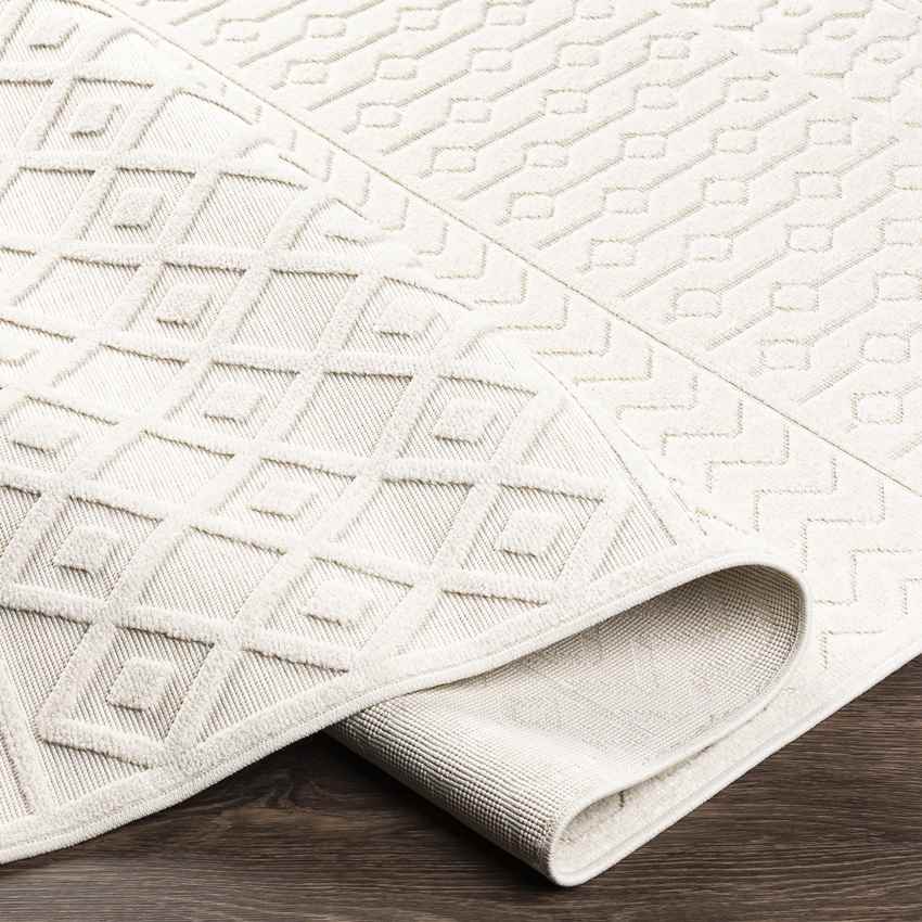 Telgt Global Cream Area Rug