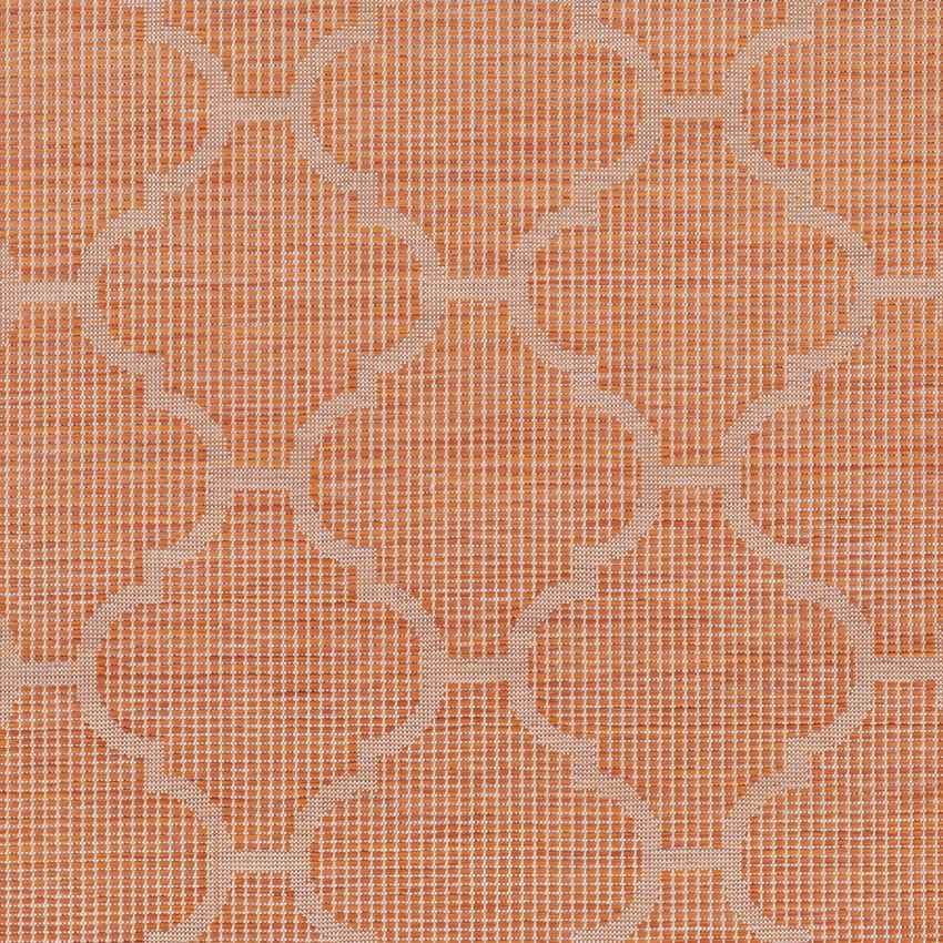 Bussum Traditional Bright Orange Area Rug
