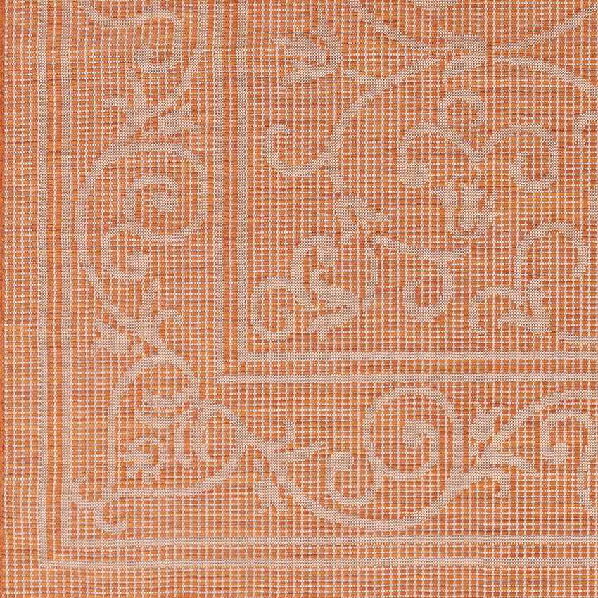 Castricum Traditional Orange Area Rug