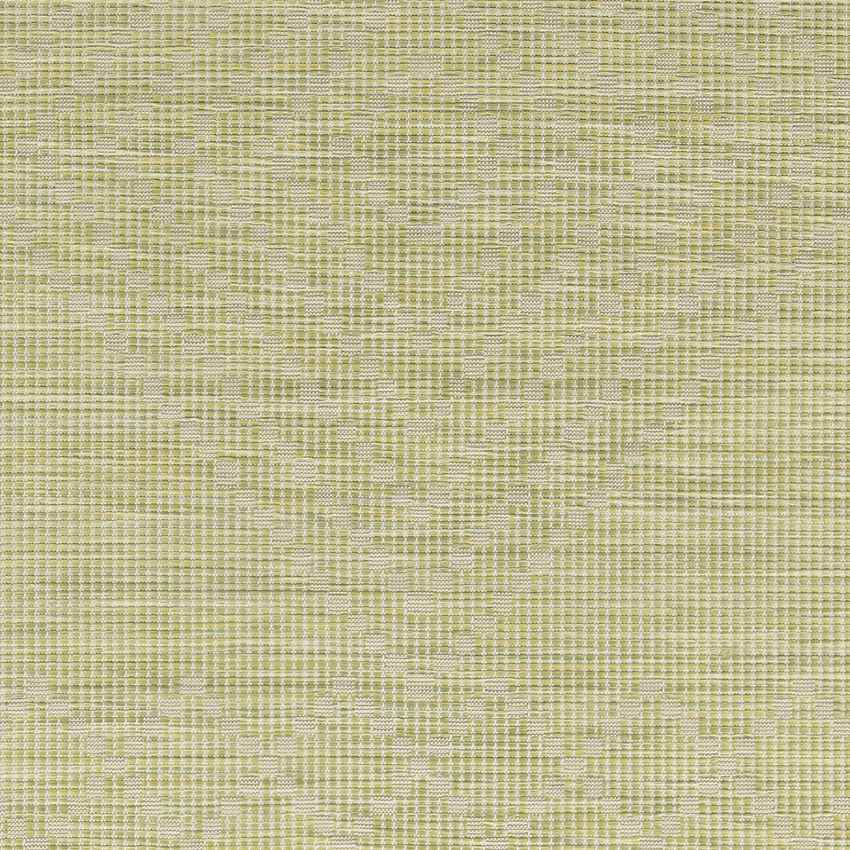 Craailo Global Light Green Area Rug