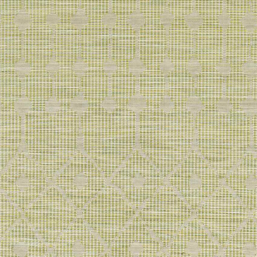 Cruquius Global Moss Area Rug