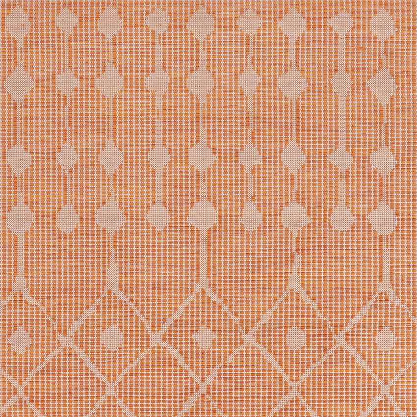 Cruquius Global Bright Orange Area Rug