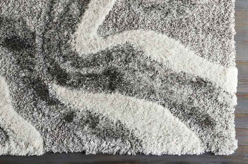 Pannekeet Modern Charcoal Area Rug