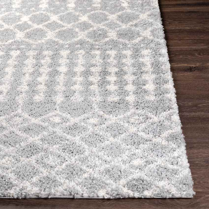Giessen Global Light Gray Area Rug