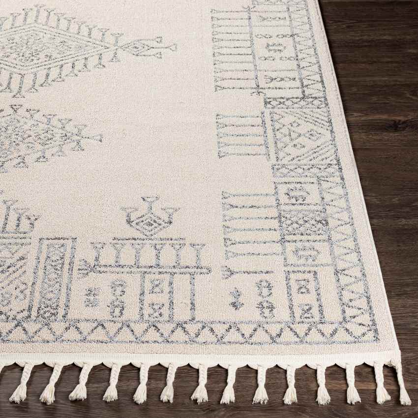 Helvoirt Global Light Gray Area Rug