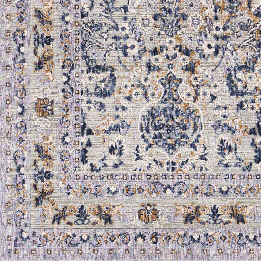 Liempde Traditional Dark Blue Area Rug