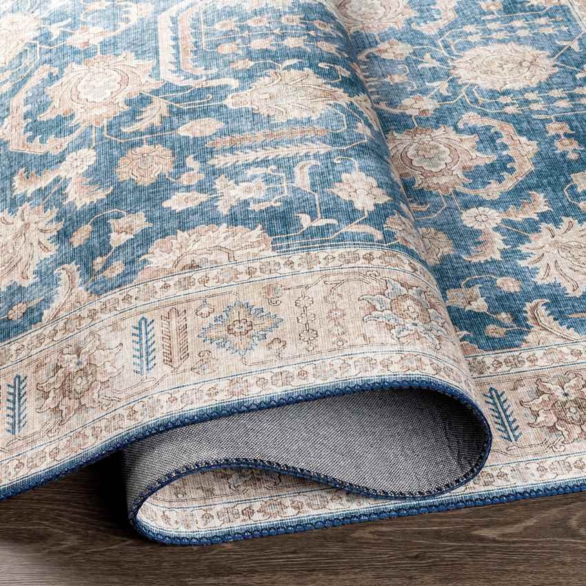 Loeswijk Traditional Blue Area Rug