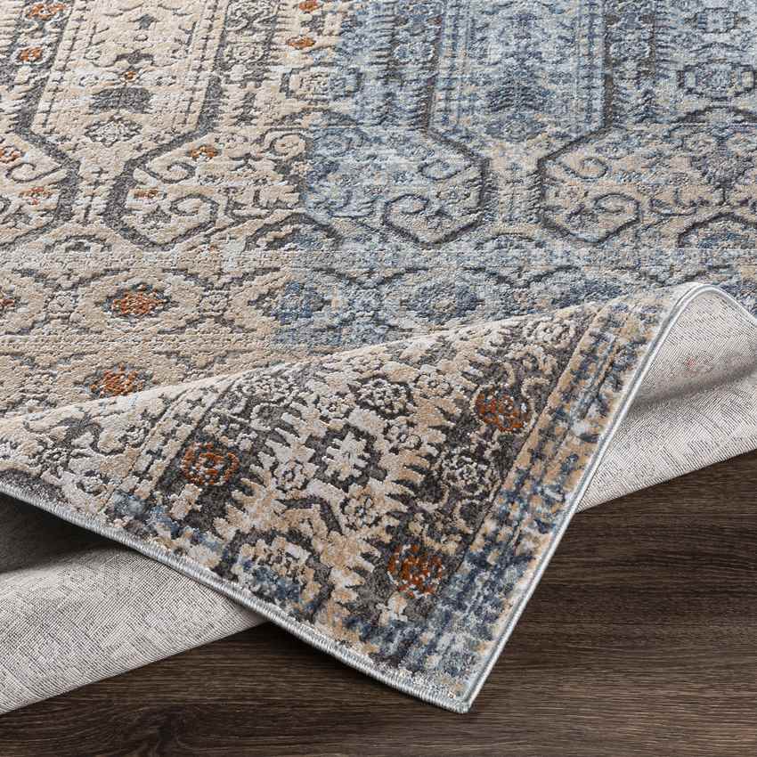 Vlierden Traditional Blue Area Rug