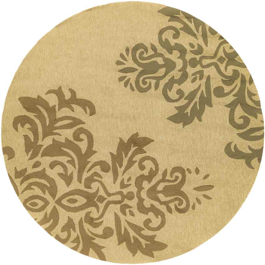 Schilberg Traditional Khaki/Camel Area Rug