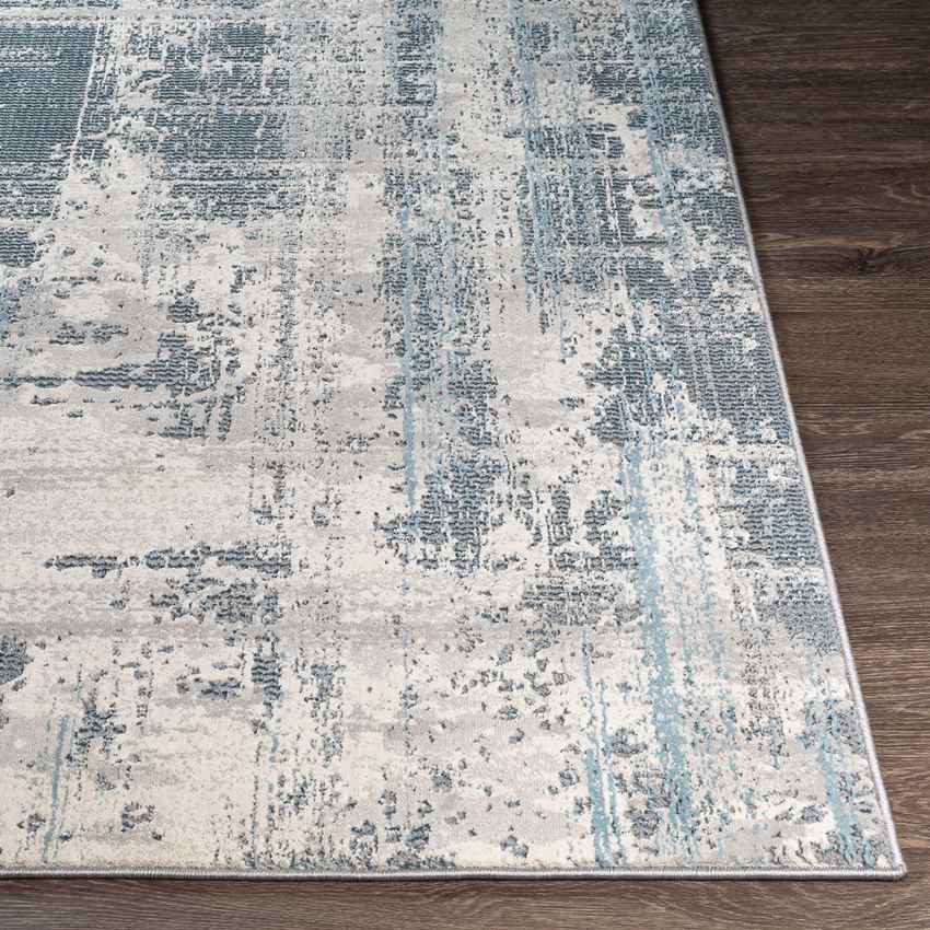 Eekwerd Modern Grey Area Rug