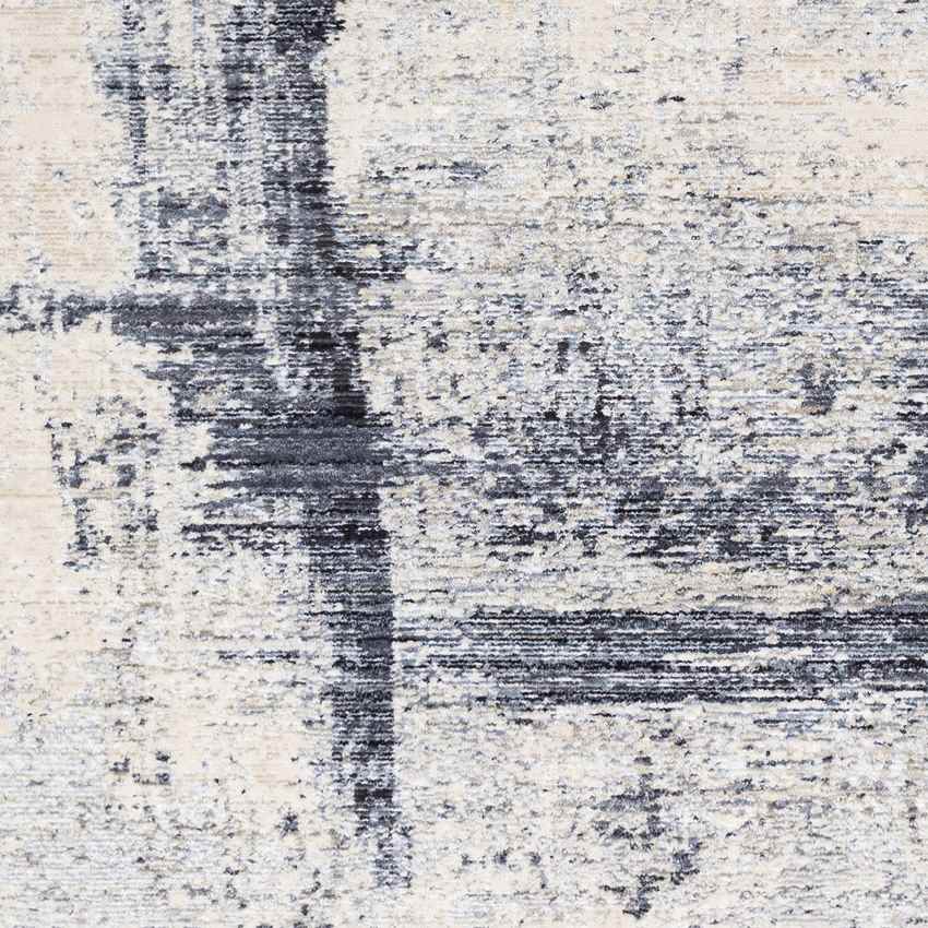 Polen Modern Medium Gray Area Rug