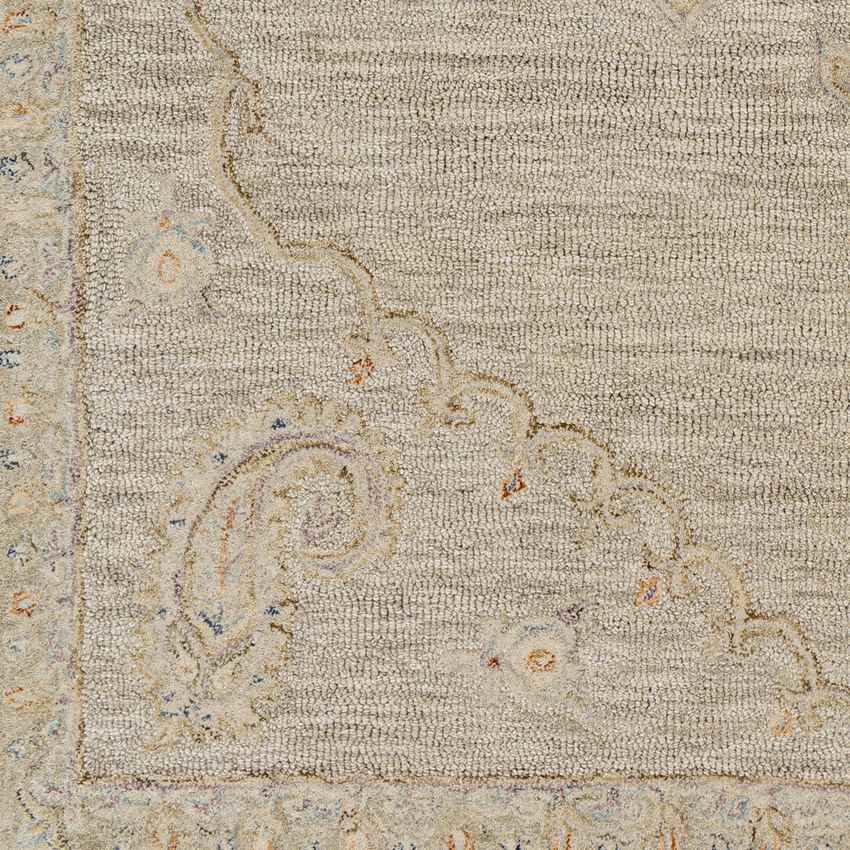 Logansport Traditional Beige Area Rug