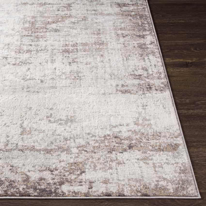 Sherborne Modern Medium Gray Area Rug