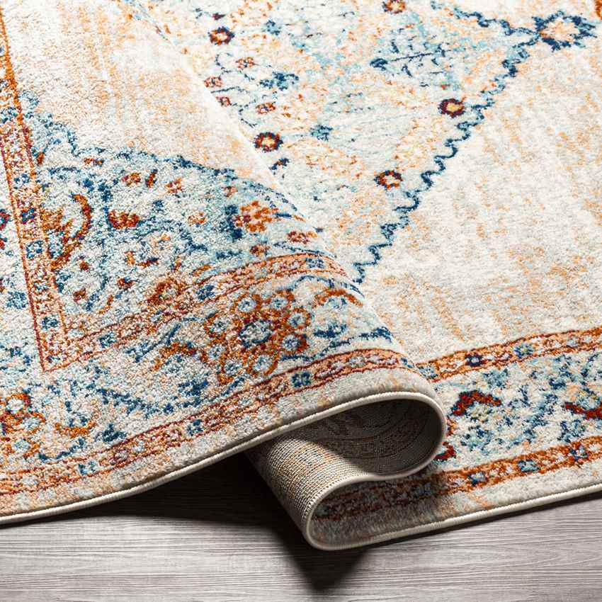 Claypool Traditional Ivory Area Rug