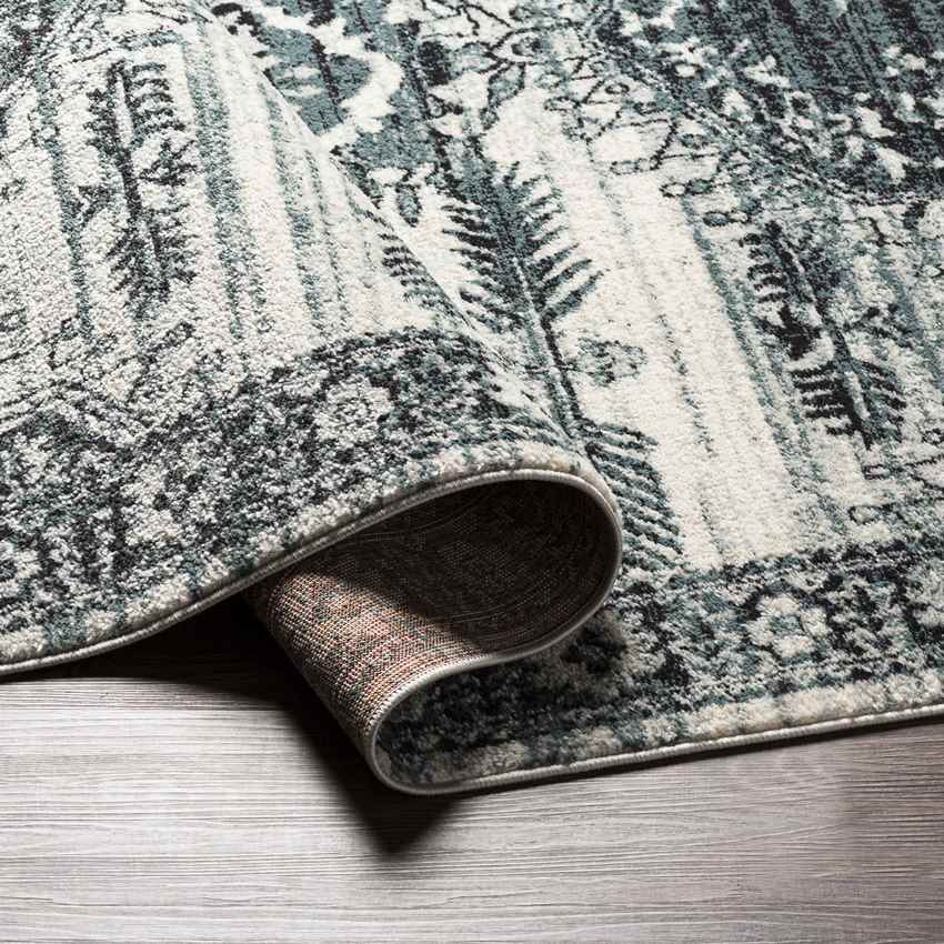 Darmstadt Traditional Pale Blue Area Rug