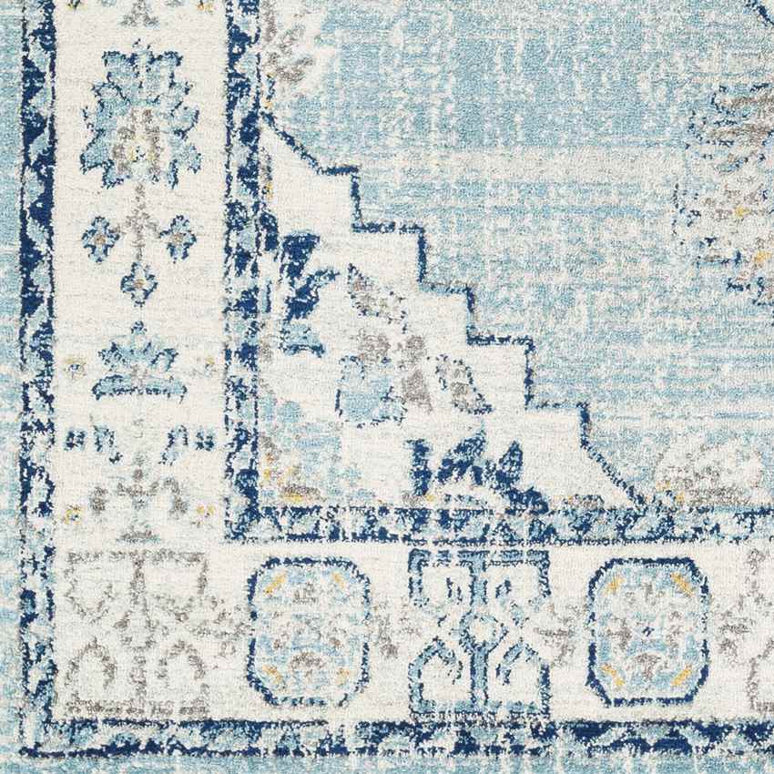 Dunreith Traditional Aqua Area Rug