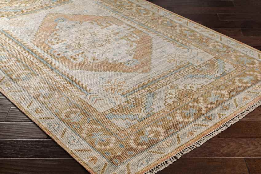 Promise Traditional Beige Area Rug
