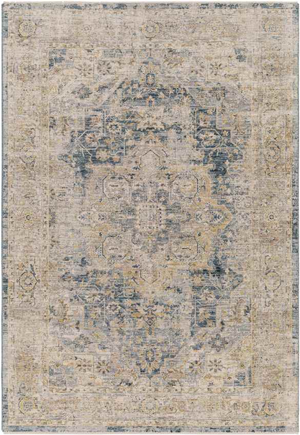 Harcourt Traditional Ice Blue Area Rug