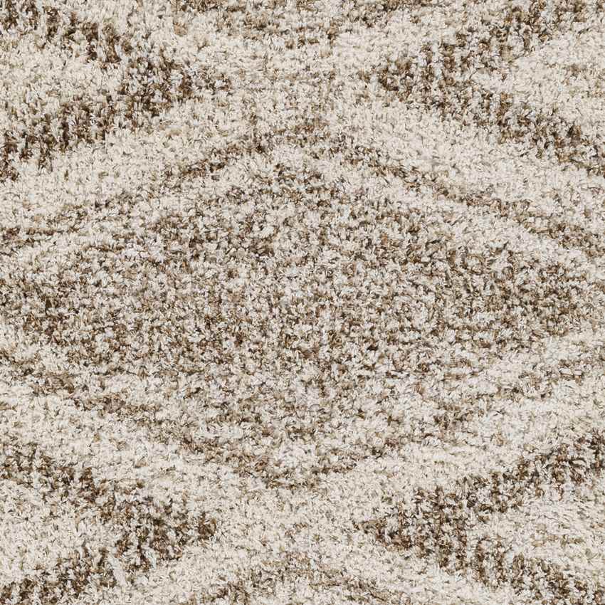Hedrick Global Beige Area Rug