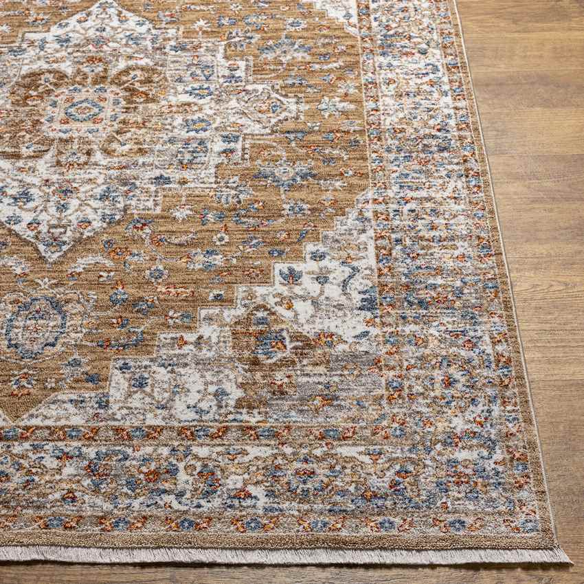 Hornick Traditional Orange Area Rug