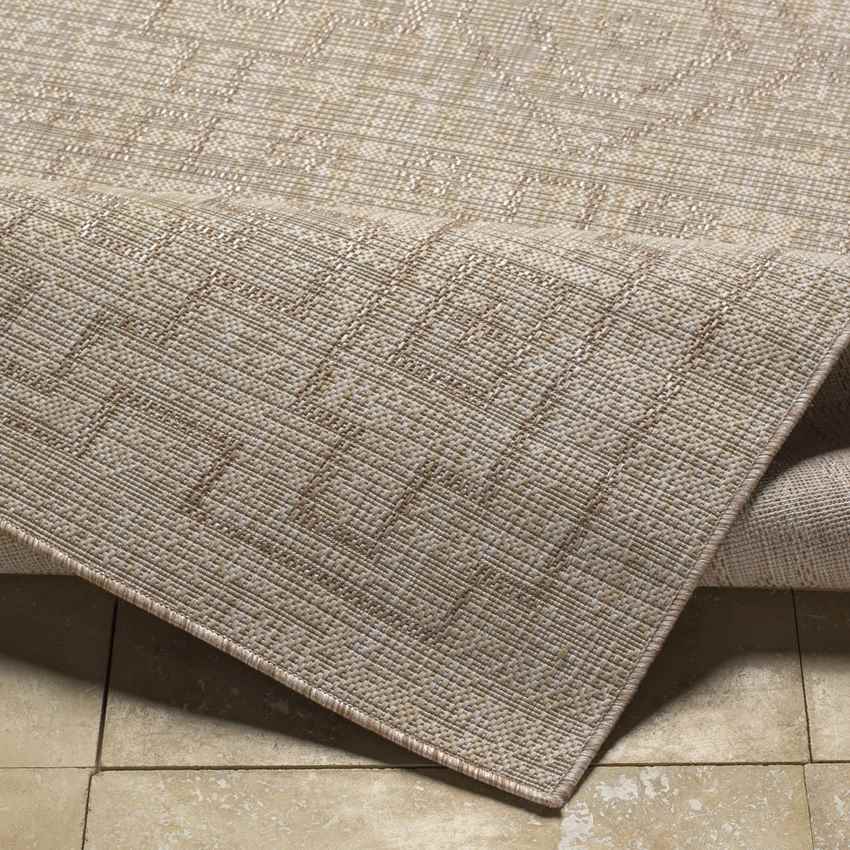Joice Global Beige Area Rug