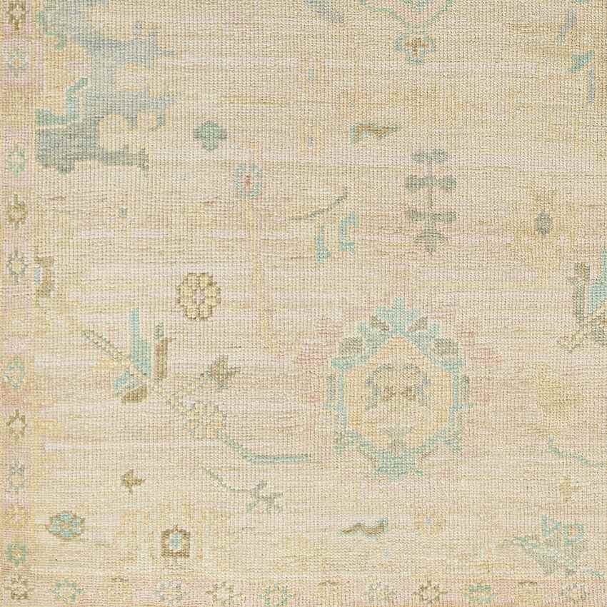 Berea Traditional Beige Area Rug