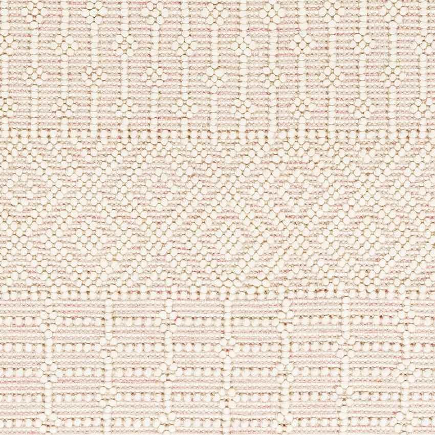 Gratz Global Blush Area Rug
