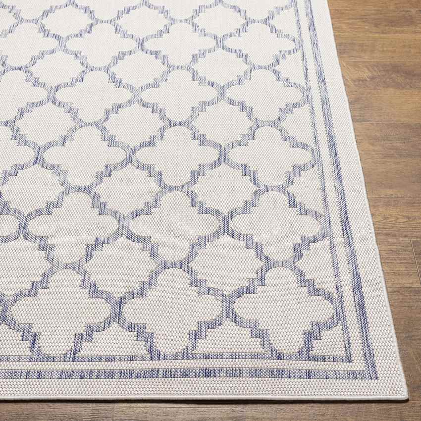 Agenda Traditional Ivory Area Rug