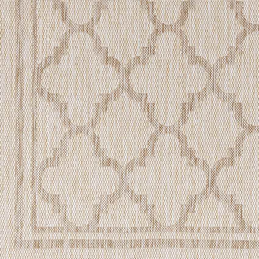 Agenda Traditional Beige Area Rug