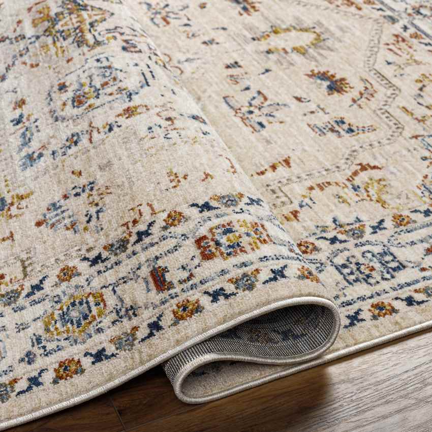 Asbury Traditional Light Orange Area Rug