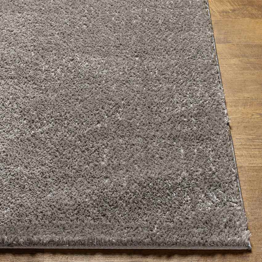 Boxholm Modern Dark Gray Area Rug