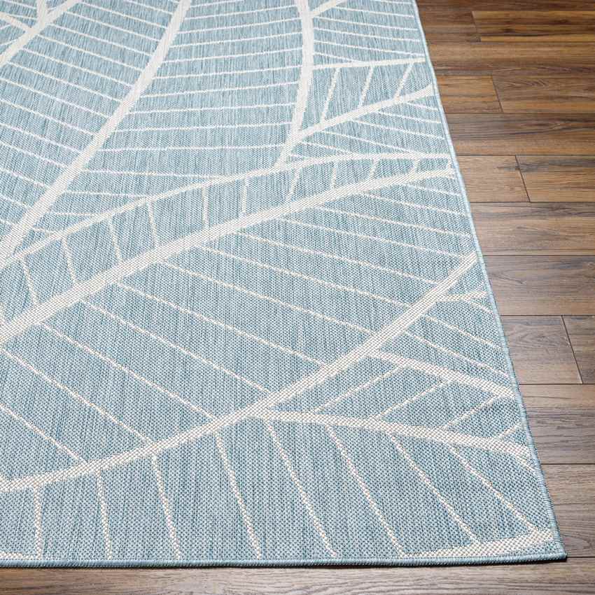 Smolan Coastal Light Teal Area Rug