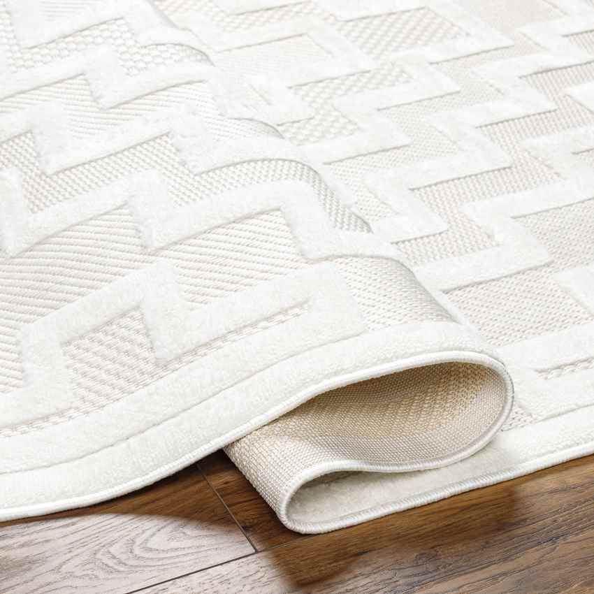 Capel Modern Beige Area Rug