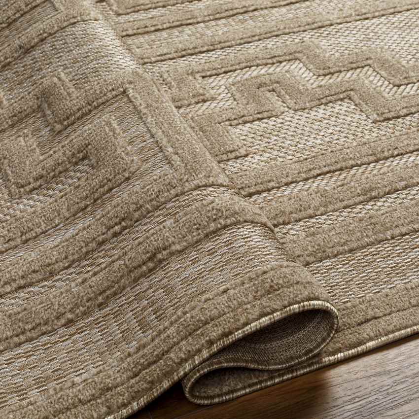 Cassoday Modern Brown Area Rug